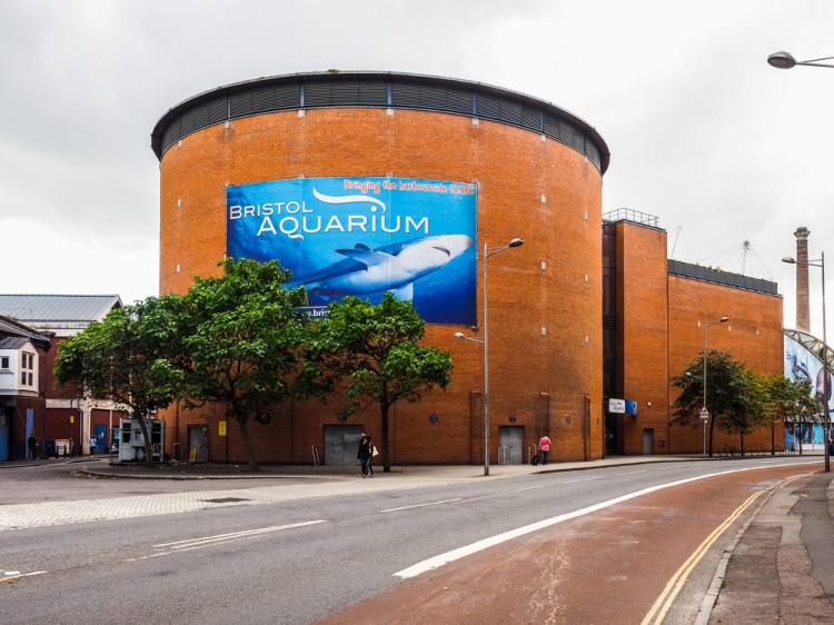 bristol aquarium