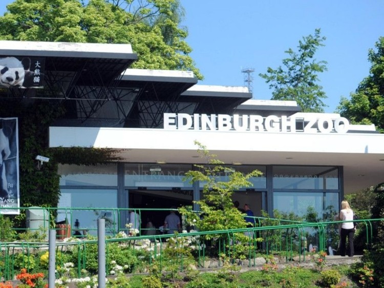 edinburgh zoo