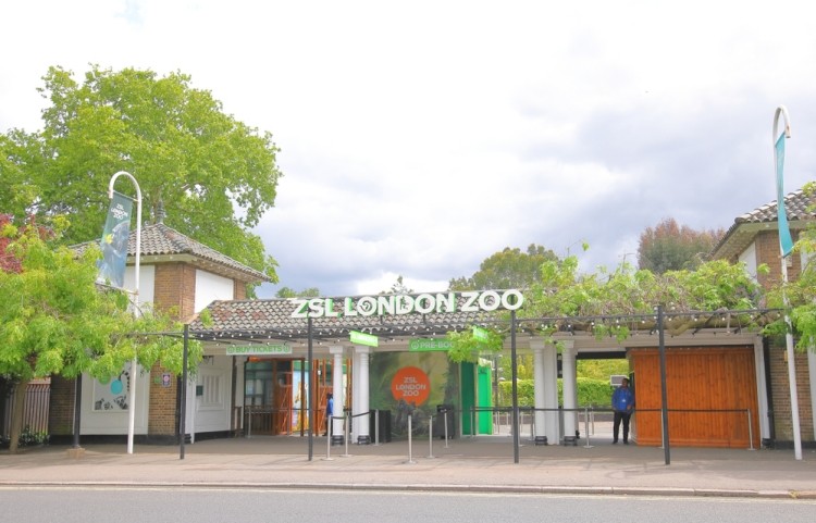 london zoo