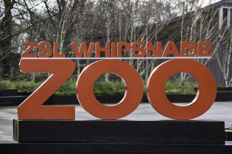 whipsnade zoo