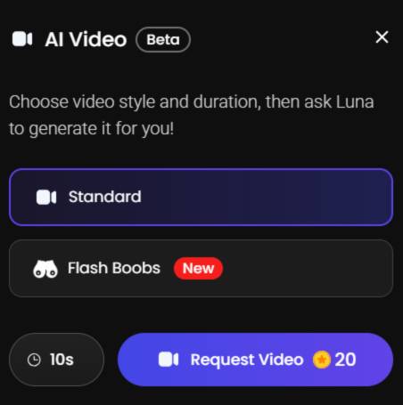 step3 - choose video style and duration