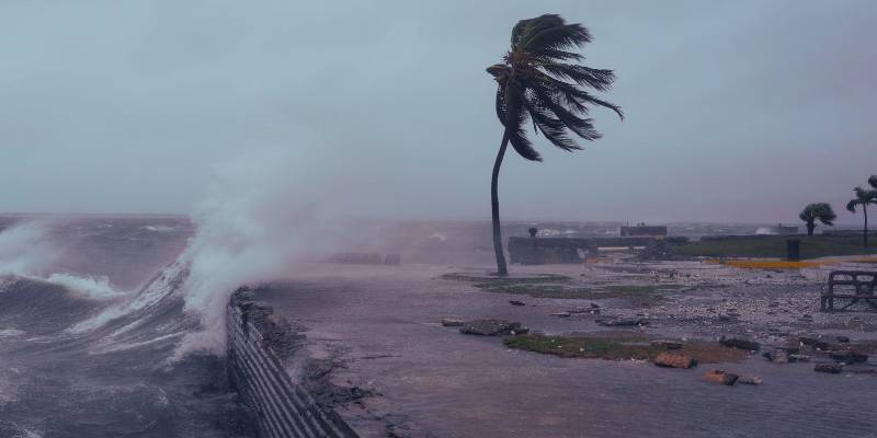 sharks in the pool, airports decimated how ai-made hurricane footage turned a crisis into clickbait