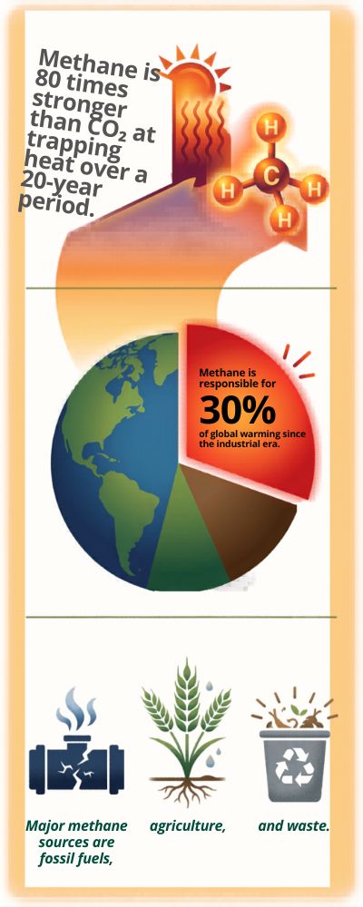 Layered Infographic with Methane Data and Icons