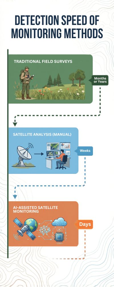 Richly Colored Monitoring Speed Infographic